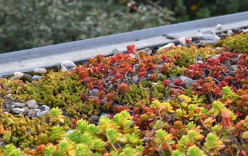 the cost of Lednabirichen green roof installation