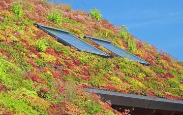 Lednabirichen living roof systems