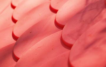 Lednabirichen plastic roof costs